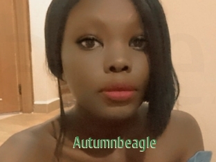 Autumnbeagle