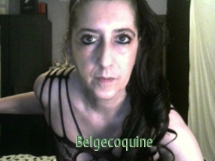 Belgecoquine