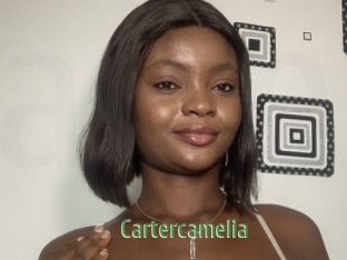 Cartercamelia