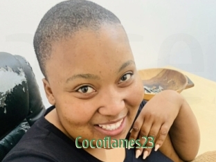 Cocoflames23