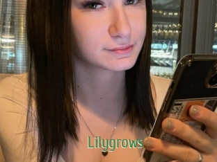 Lilygrows