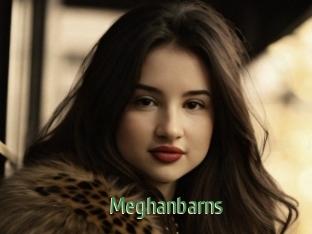 Meghanbarns