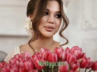 Nellyycum