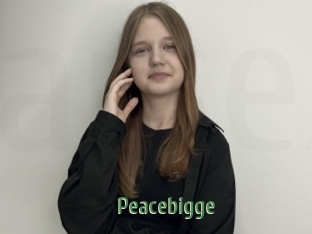 Peacebigge