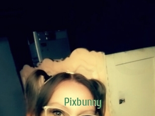 Pixbunny