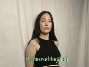 Primrosebingham