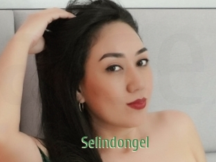 Selindongel